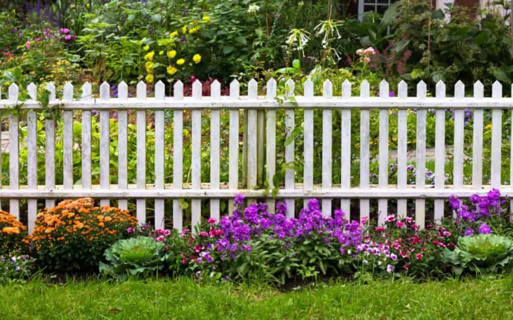 A white picket fence surrounded by and array of flowers