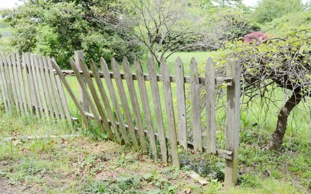 A dilapidated picket fence falls apart badly in need of repair.