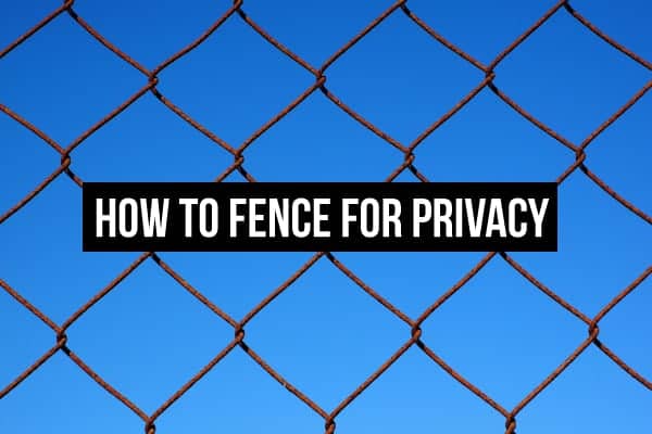 Chain link fence behind text saying How To Fence For Privacy
