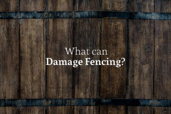 An old, rotting wooden fence with the words "What can Damage Fencing?"